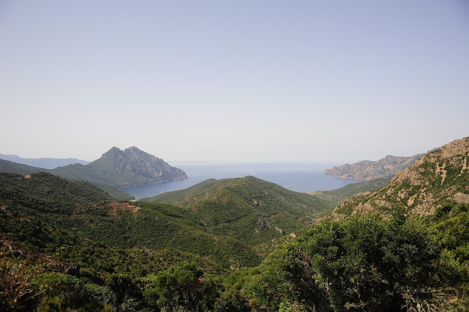 Côte rocheuse de Corse couverte de maquis, au-dessus d'un golfe